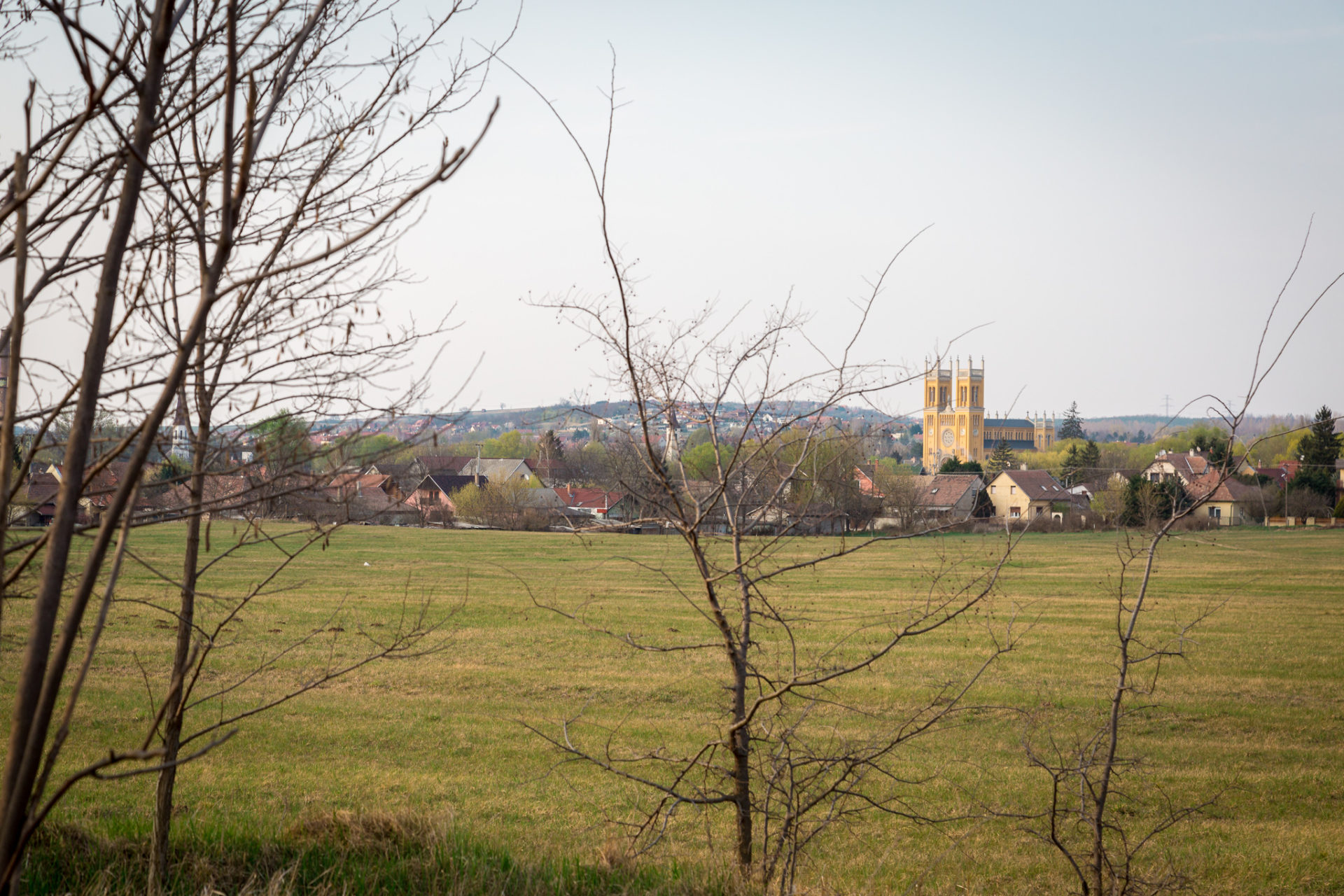 20190401_fot_0091_k_barackos