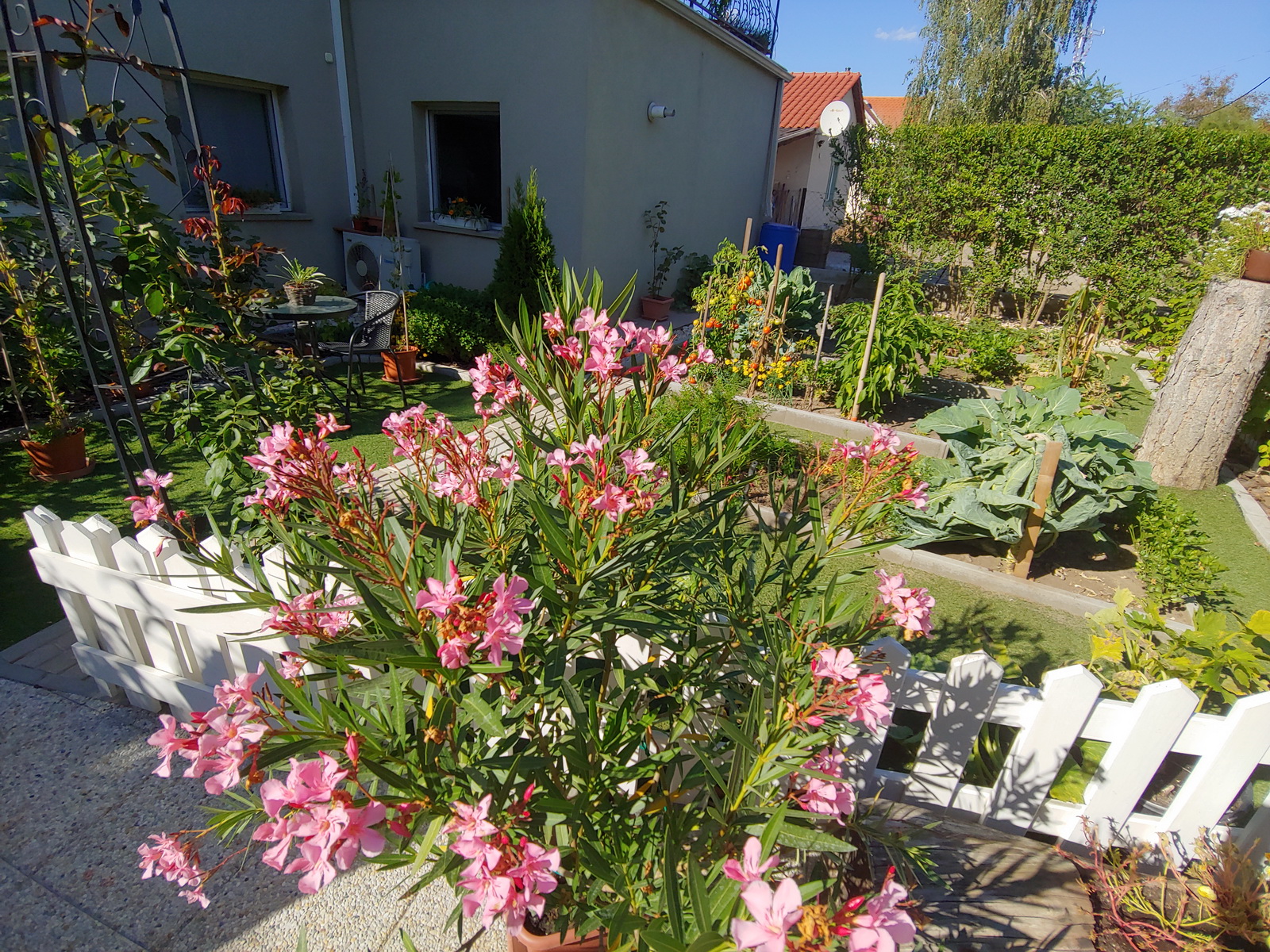 20200908_153338_HDR