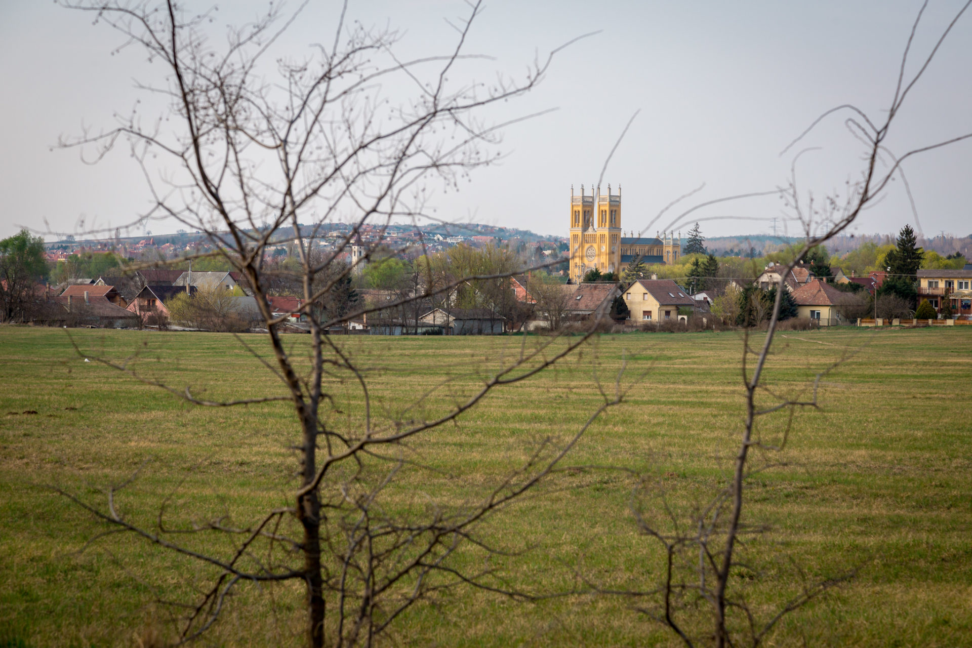 20190401_fot_0092_k_barackos