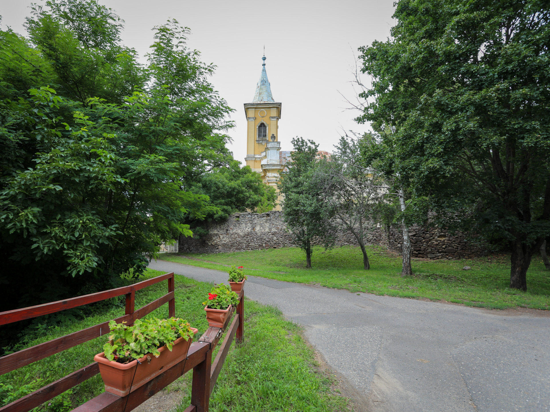 20230810_hejce_jpg_0071_k
